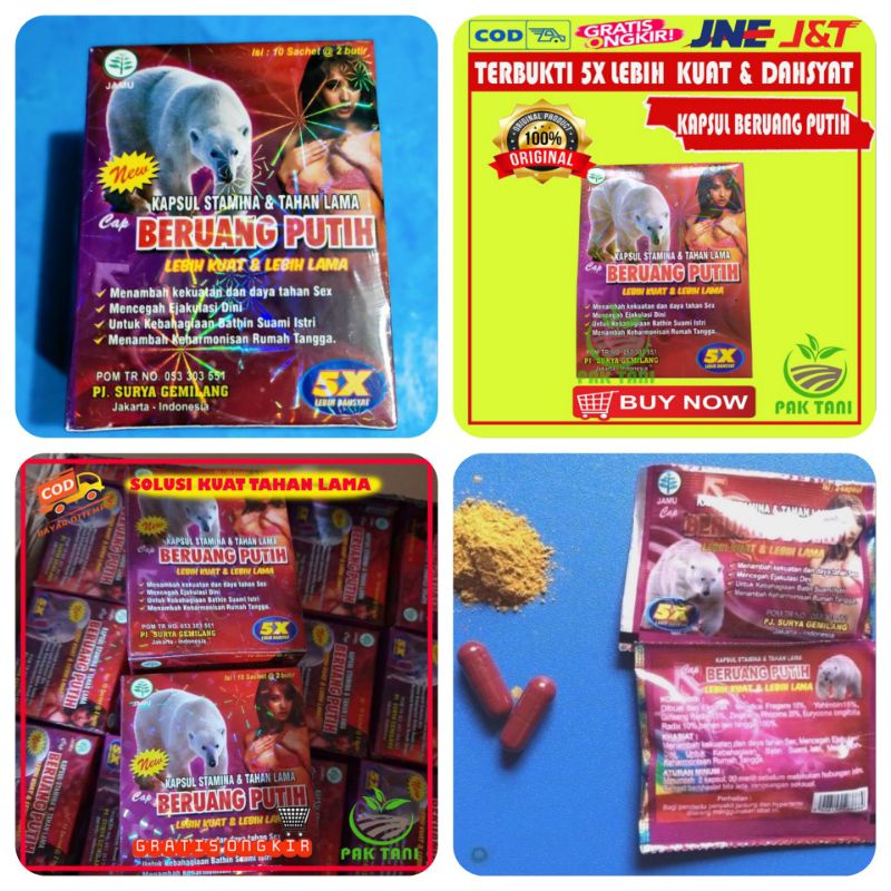 Beruang Putih Kapsul Original