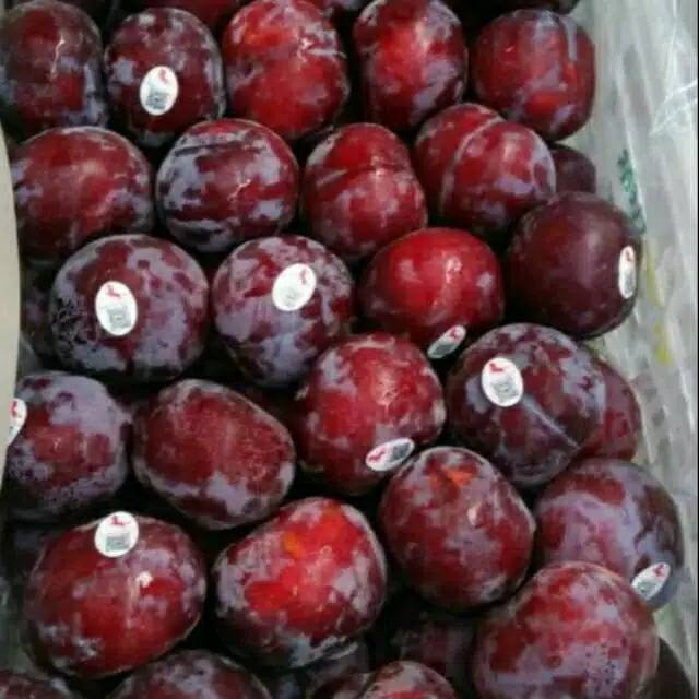 

Buah plum segar