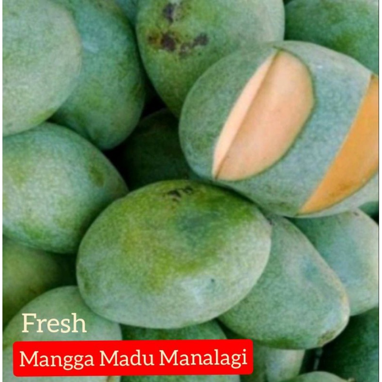 

MANGGA MADU MANALAGI MANIS ( MENTAH GARING TIDAK ASEM ENAK ) COCOK NGERUJAK.BUMIL