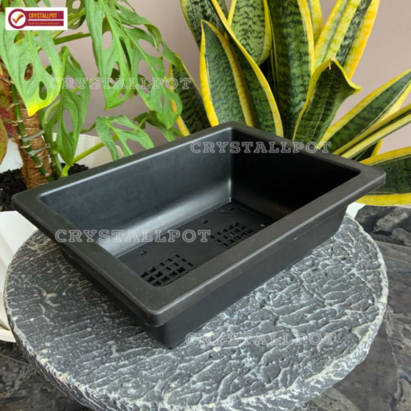 pot bunga tanaman ceper NKT BONSAI 01 HITAM - NKT BONSAI 01 HITAM