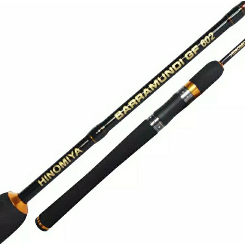 joran hinomiya baramundi GF 602