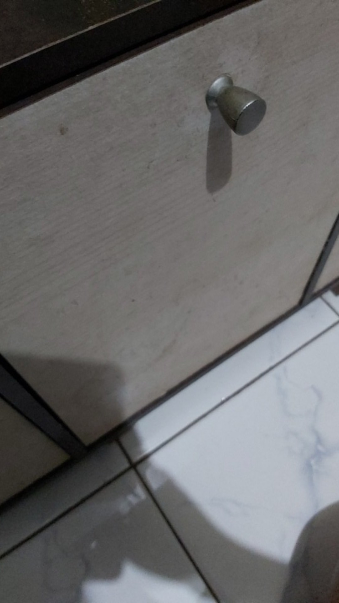 Gergaji Kayu Coping Saw (81-904) Sellery