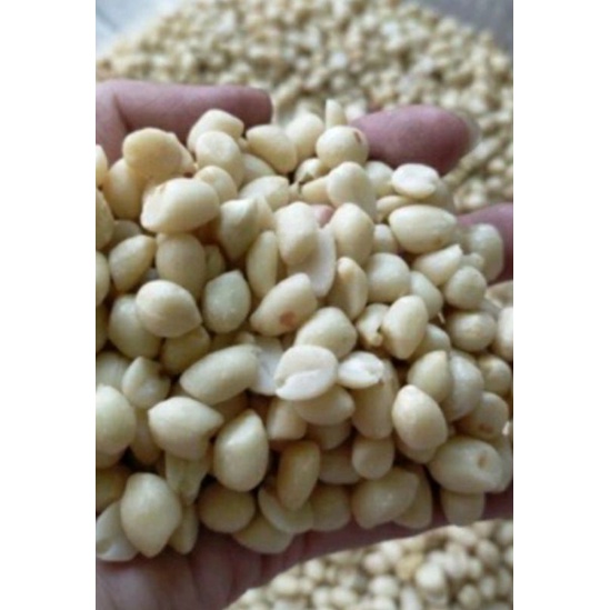 

kacang tanah kupas mentah 1 kilo
