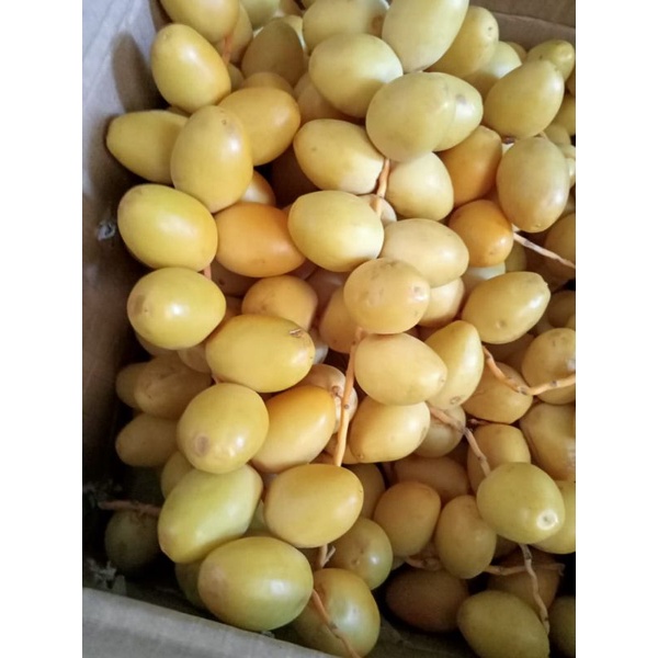 

kurma muda barhi 250g