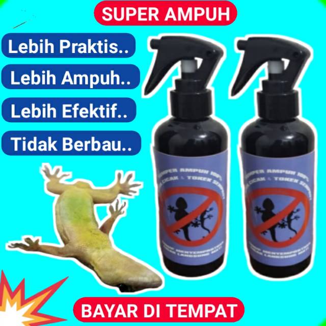 RACUN PEMBASMI CICAK DAN TOKEK PALING AMPUH 250 ML