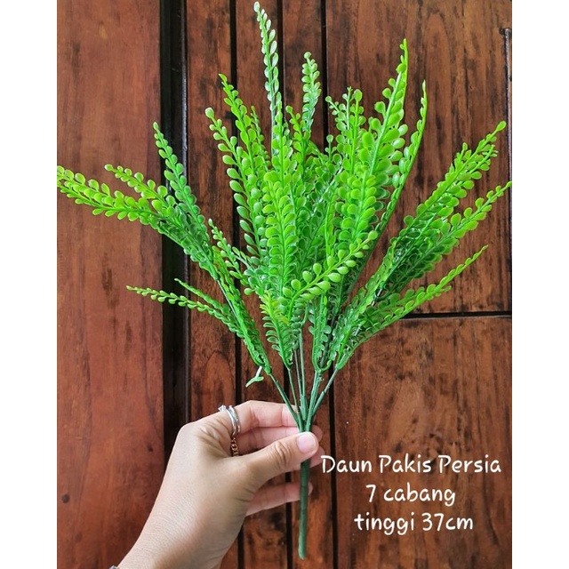 Daun Pir Berduri x7 / Daun Pakis Ulat