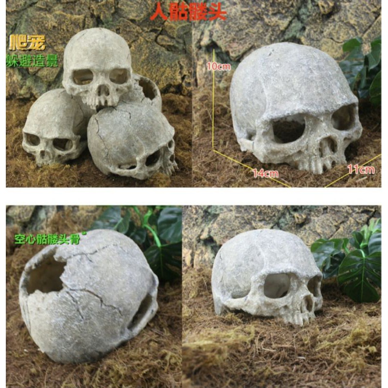 Hiasan Akuarium Fosil Tengkorak Manusia