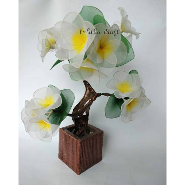 bunga stoking model bonsai Kamboja