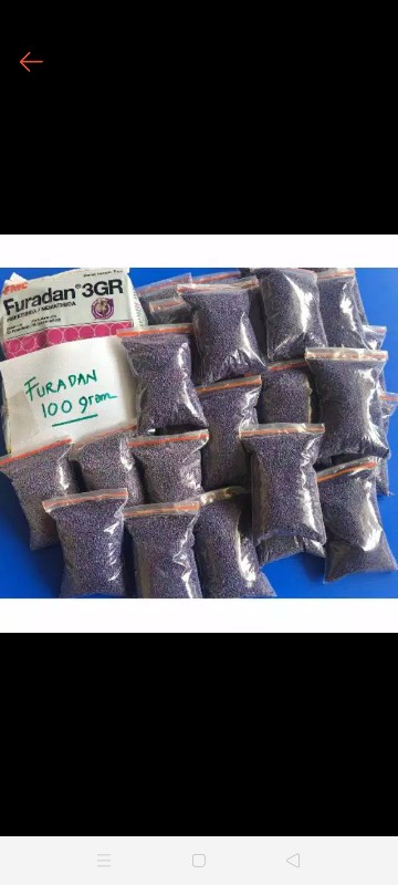 Furadan 3gr Repack 100 Gram - Anti Jamur Tanaman -fungisida Insektisida Nematisida