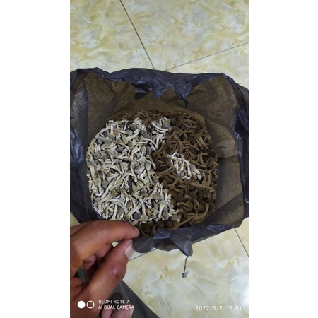 

Empot Ayam masih fresh