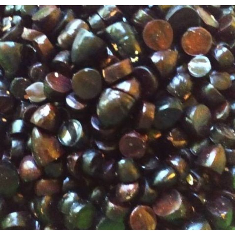 

kabau
