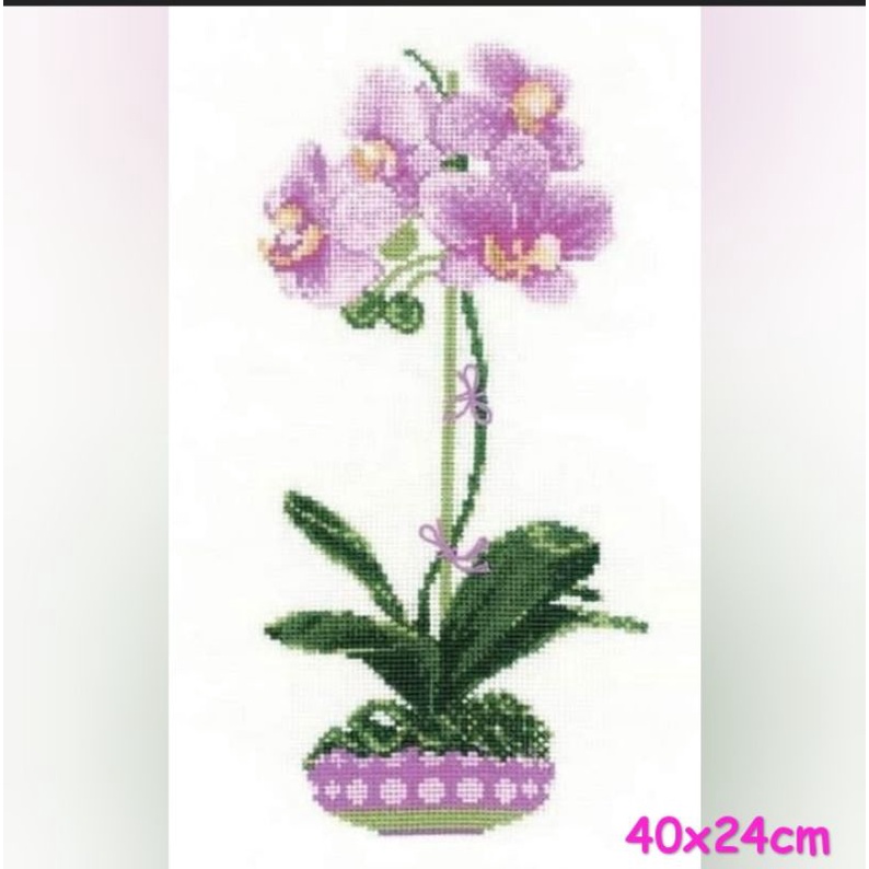 paket kristik bunga anggrek ungu purple orchid