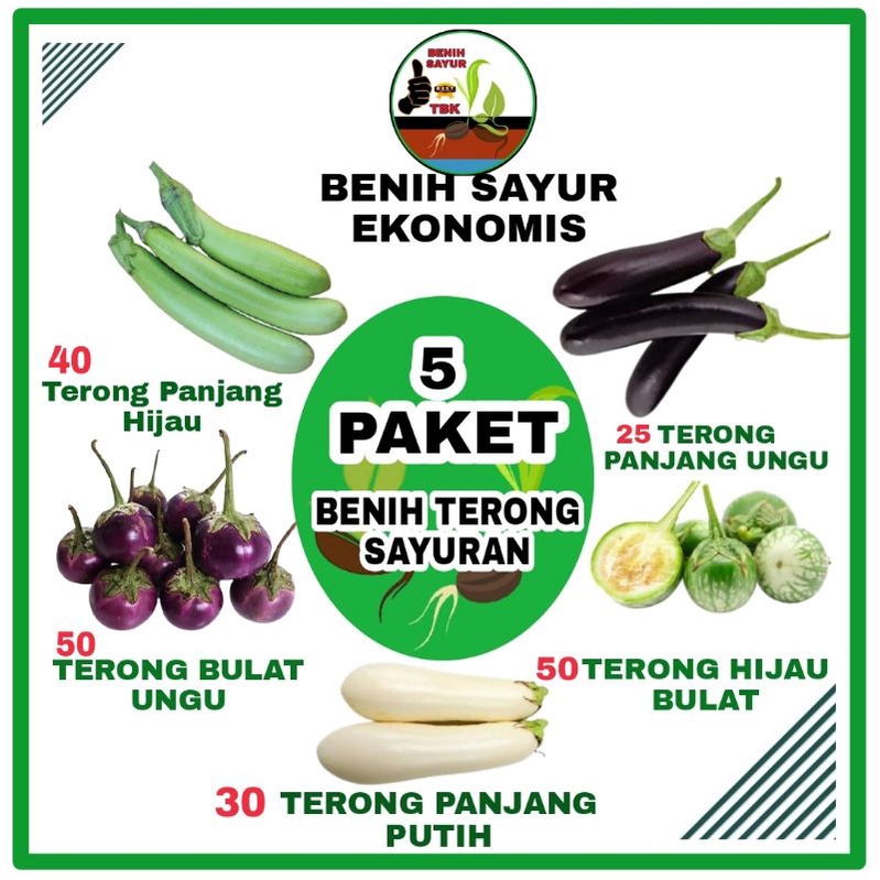 5 Macam Paket Benih Sayur Terong F1 Hibrida Berkualitas - Bibit Sayur - Terong Lalap Ungu Hijau Puti