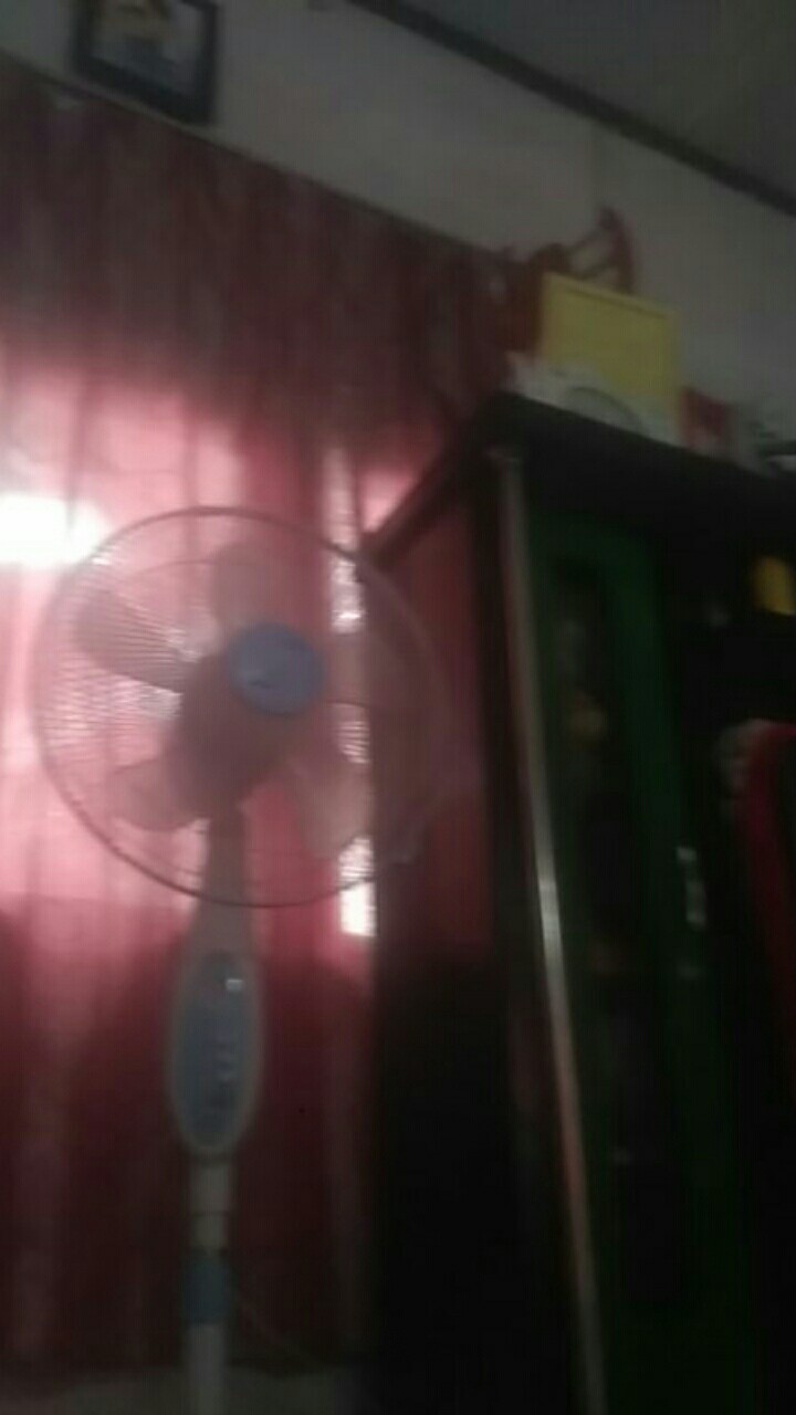 Cetakan Loyang Kue Lidah Kucing Lubang 18 - Perak Free Packing Bubble + Dus