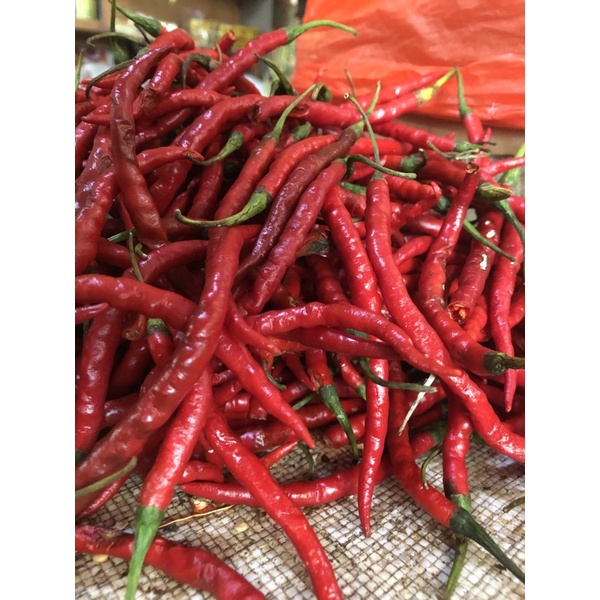 

Cabai Merah Keriting