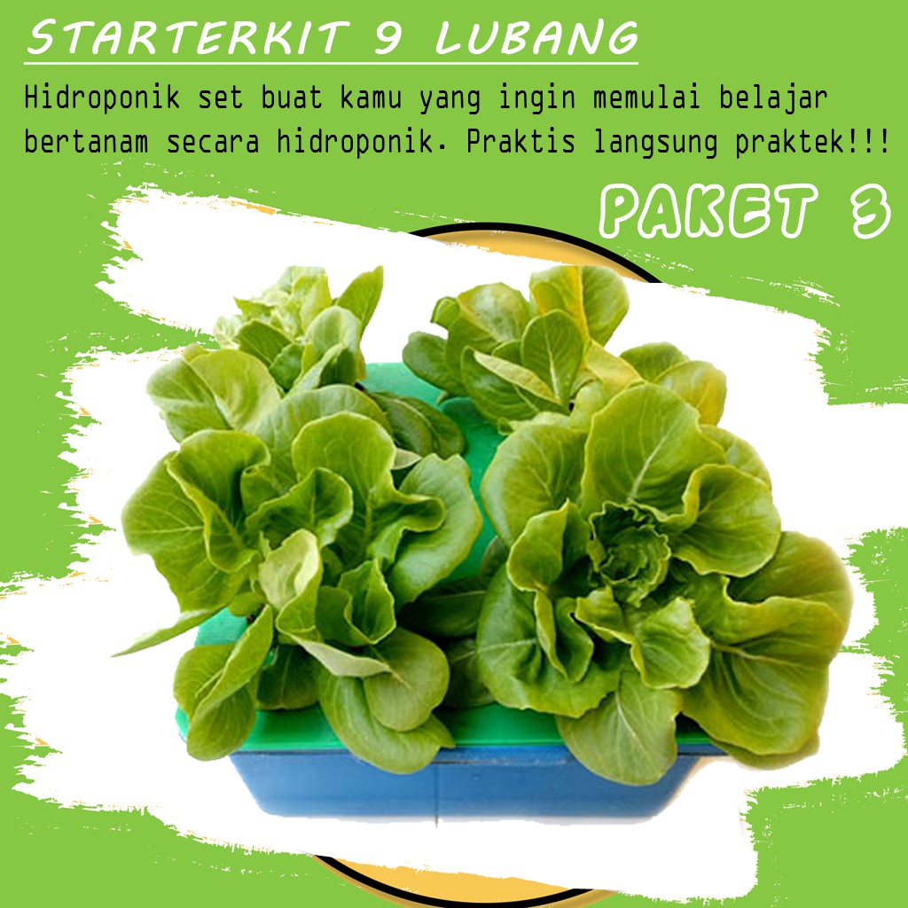 STARTER KIT HIDROPONIK 9 LUBANG 3 BAK PAKET KIT HIDROPONIK WICK SYSTEM STARTERKIT HIDROPONIK WICK