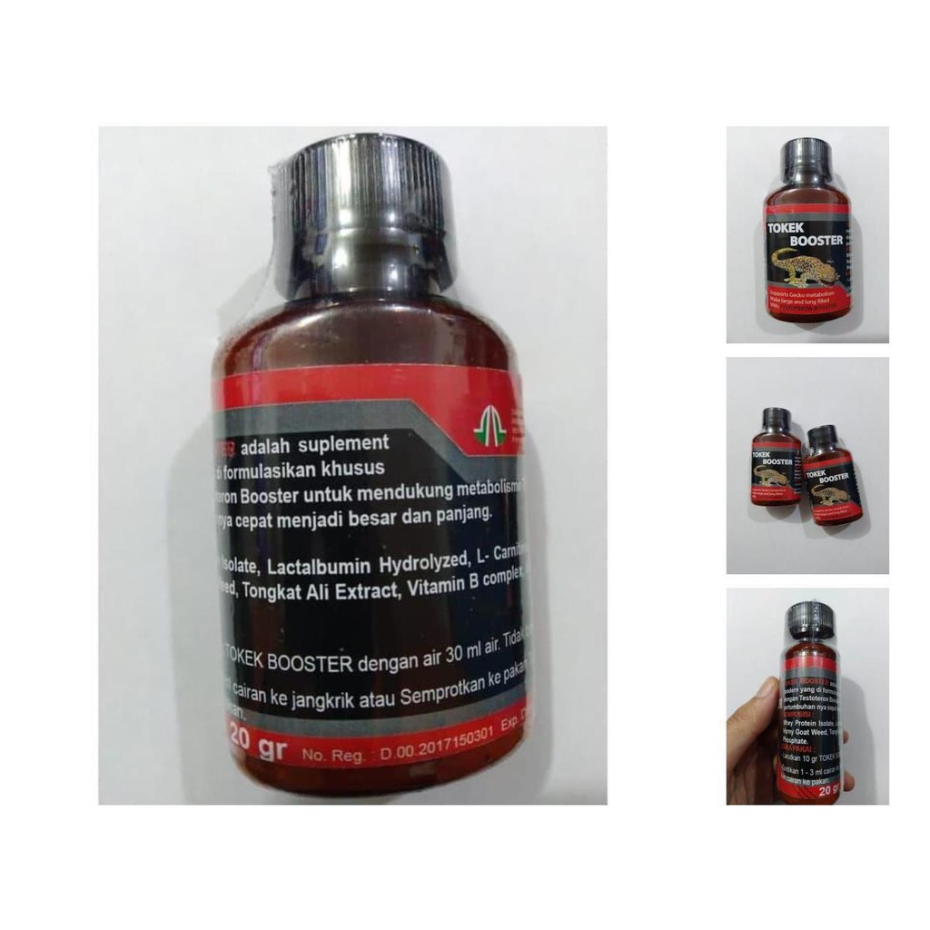 tokek booster 50 gr   suplement pertumbuhan tokek / gecko