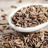

100gr Jintan Putih/ Biji Jintan Putih/ Biji Jinten/ Jinten