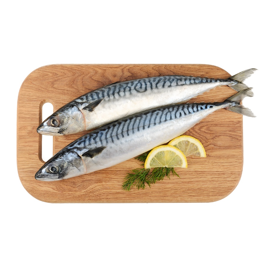 

Ikan Saba / Japanese Mackerel