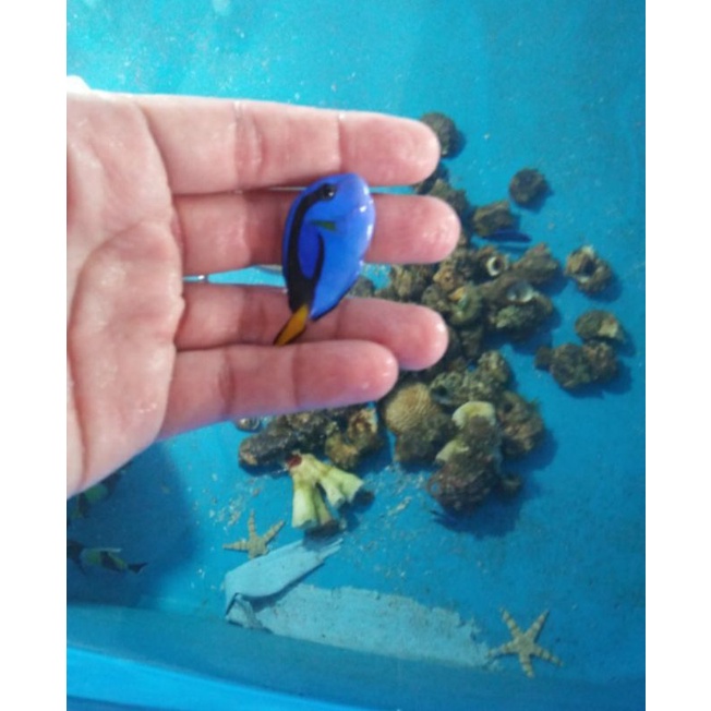 

Dori Size S