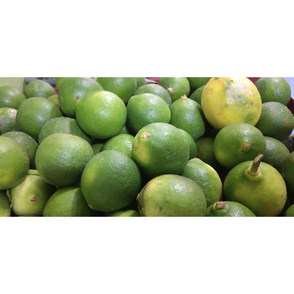 

Jeruk Nipis 250gr