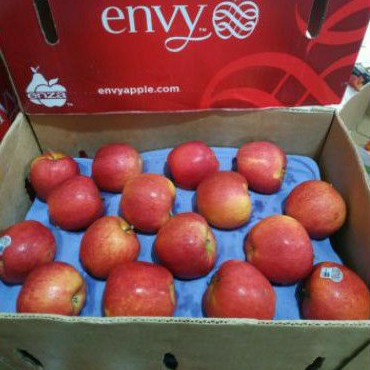 

Buah Apel Envy Jumbo USA Fresh / 1 Dus / 10kg
