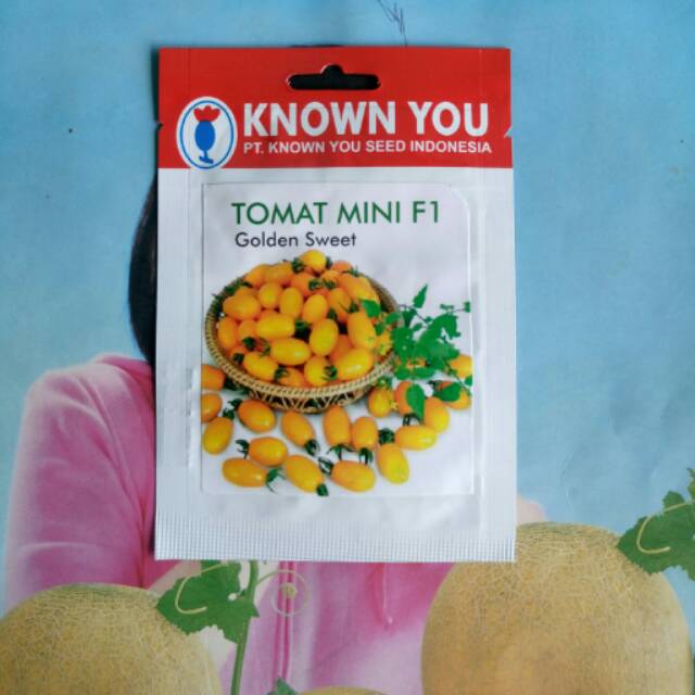Benih Bibit Tomat Cherry Kuning GOLDEN SWEET SP
