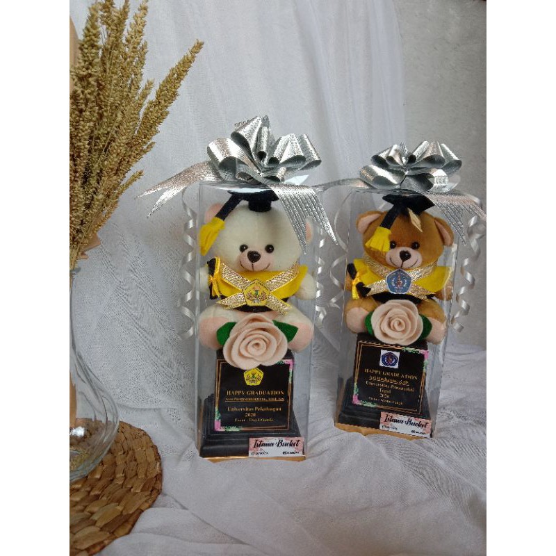 BONEKA WISUDA PIALA BOX MIKA/Boneka bear wisuda+packing