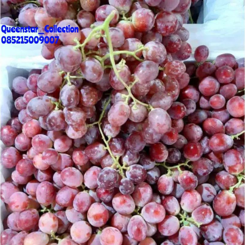 

ANGGUR RED GLOBE (AUSTRALI)
