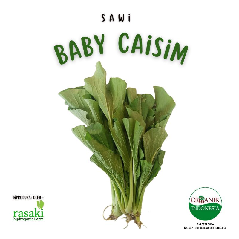 

sayur segar baby caisim organik 200gr rasaki