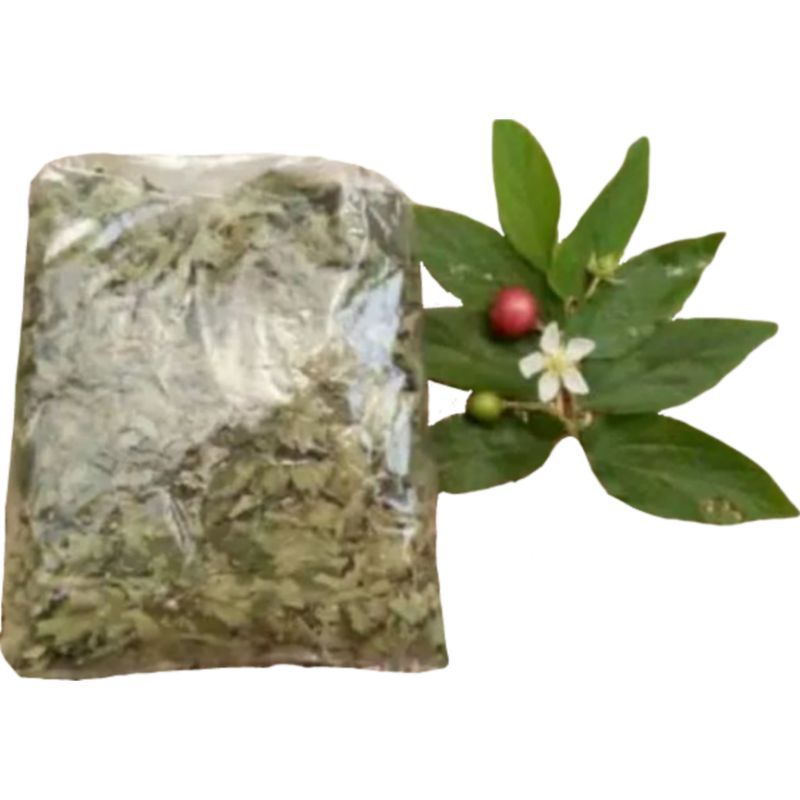 

Daun Kersen Kering Per 500 Gram
