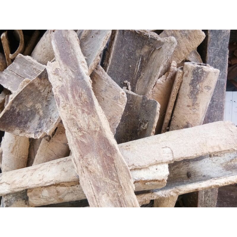 Pulosari Kering 100 gram / Kayu pulosari