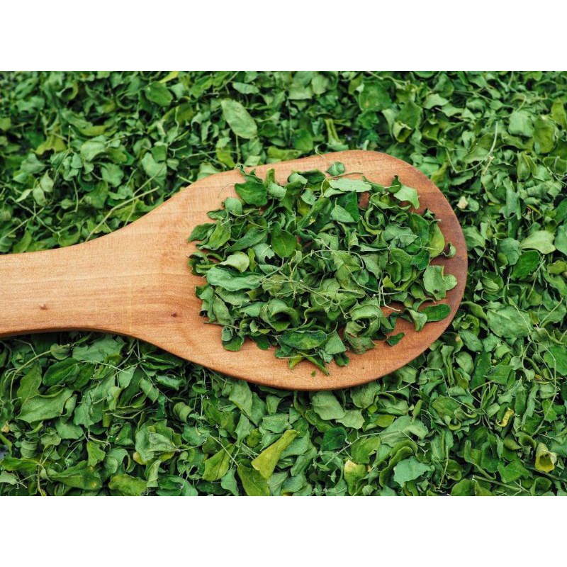 

daun kelor kering
