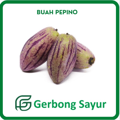 

Buah Pepino Segar - 1 Kg