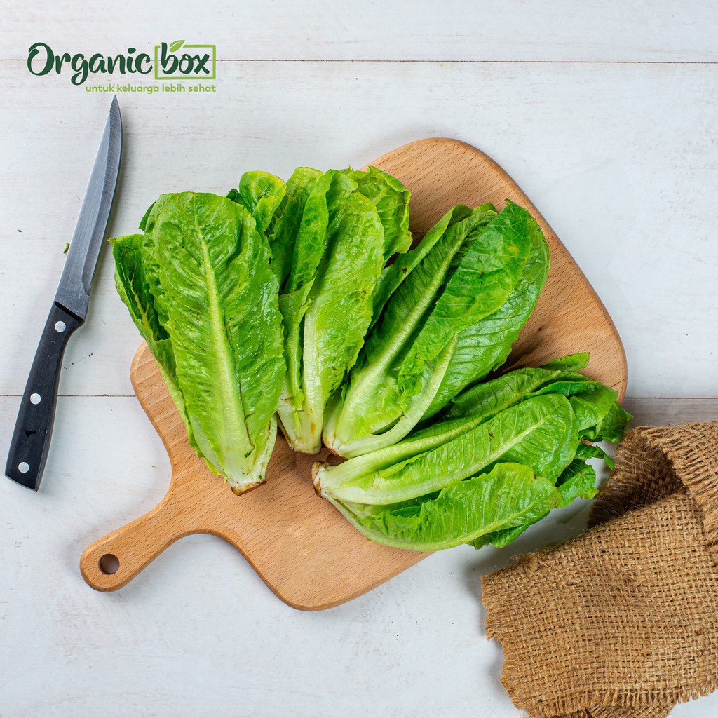 

Selada Romaine organik 250gr