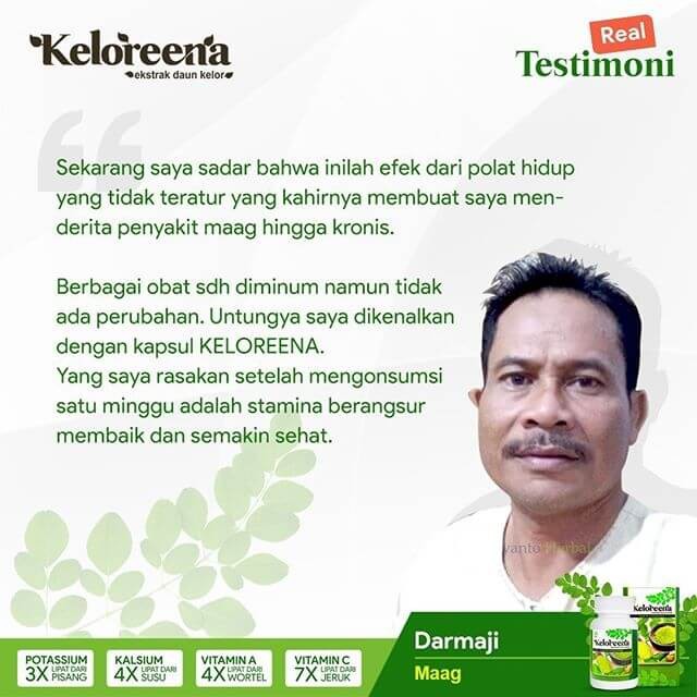 Obat Sakit Maag Maag Akut Maag Kronis Gastritis Gerd Asam Lambung Keloreena 50 Kapsul Indonesia