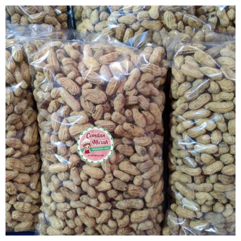 Jual Kacang Kulit Sangrai Dan Oven 500 Gr Kacang Tanah Shopee Indonesia