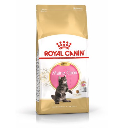 Royal Canin Maine Coon Kitten 2KG Mainecoon Makanan Anak Kucing Ras Besar Pakan Pelet