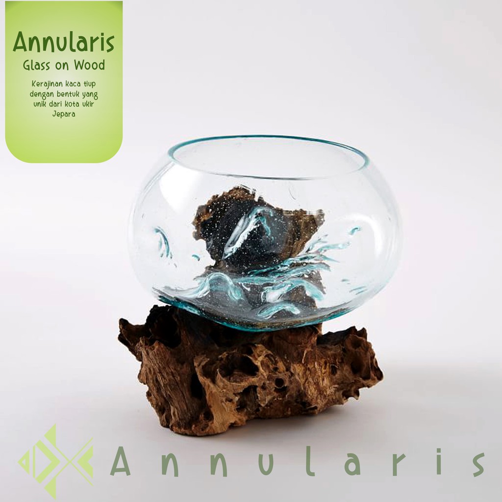 Glass on Wood / Vas Terrarium mini Pot Tanaman Kaktus Aquascape Kaca Akar Kayu Diamater 30 cm