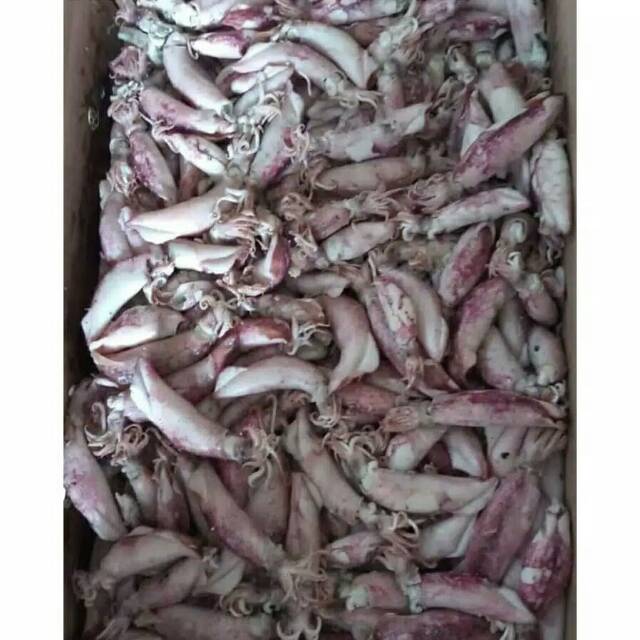 

Cumi Asin