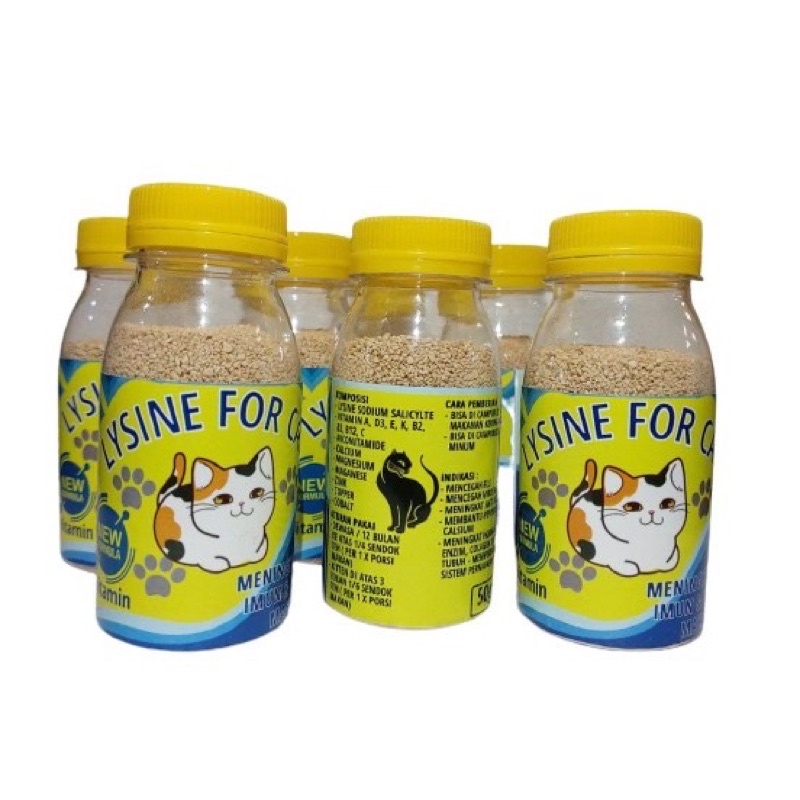 Penggemuk kucing lysine plus vitamin lengkap