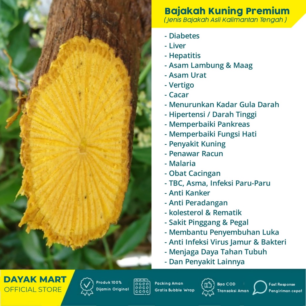 Akar Kuning Bajakah Kuning Asli Kalimantan Kualitas Super Premium Akar Bajakah Kayu Bajak Kayu Bajakah Akar Bajaka Obat Herbal Bajakah kalimantan Asli Diabetes Asam Lambung Urat Obat Maag Kencing Manis Gula Darah Liver Hepatitis Paling Ampuh Original 100%-BJAKA KUNING PREMIUM