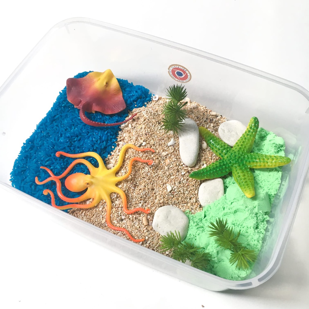 Jual Sensory Box / Sensory Bin / Sensory Play / Montessory Play Tema ...