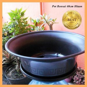 Only Gosend Pot Bonsai Gbl 40 / Pb 40 Hitam - Pot Tanaman Plastik Bonsai 40 Cm - Pot Adenium Sikas