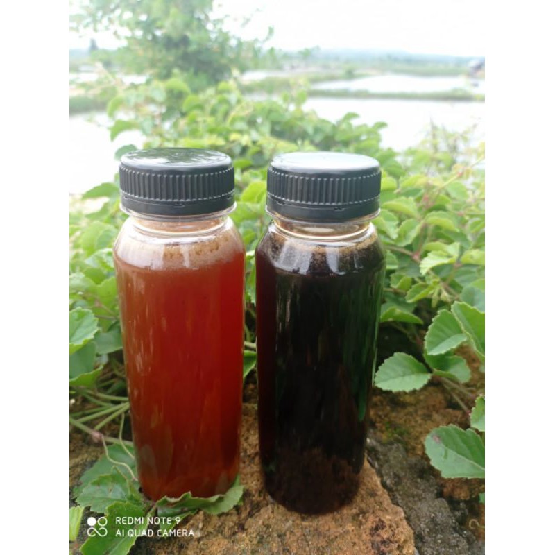 

madu liar hitam 100%asli