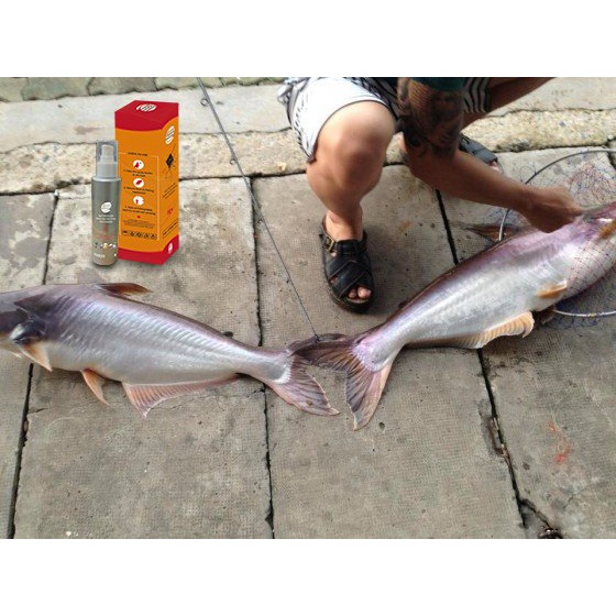Semprotan umpan ikan X2000, X2000 Spray Fish Bait, menarik berbagai ikan, mudah digunakan-4