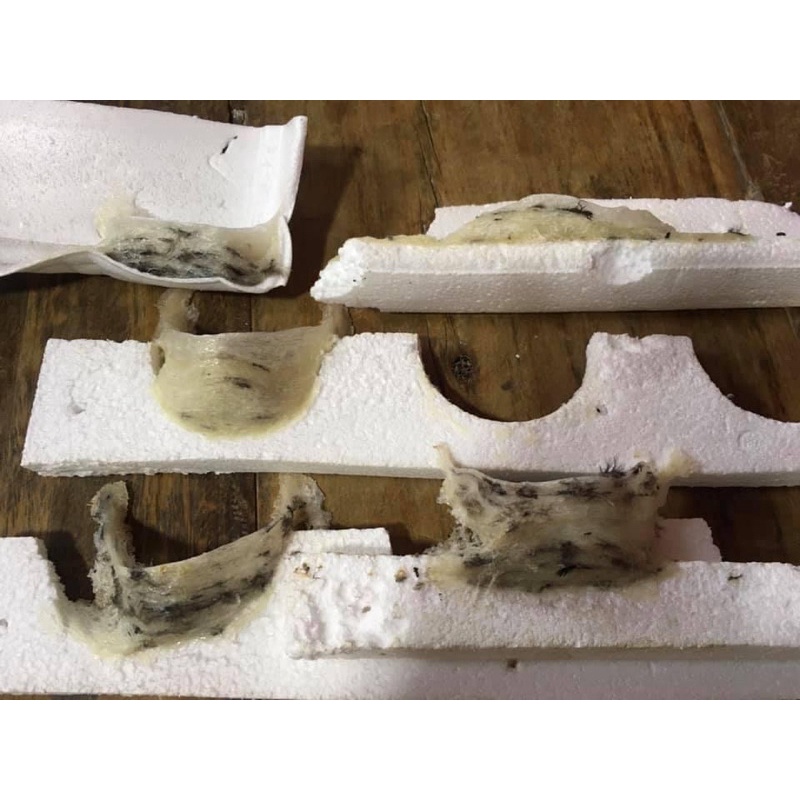 Papan Sterefoam Koloni Burung Walet / Sterefoam walet / sirip walet / sarang imitasi / sarang walet 