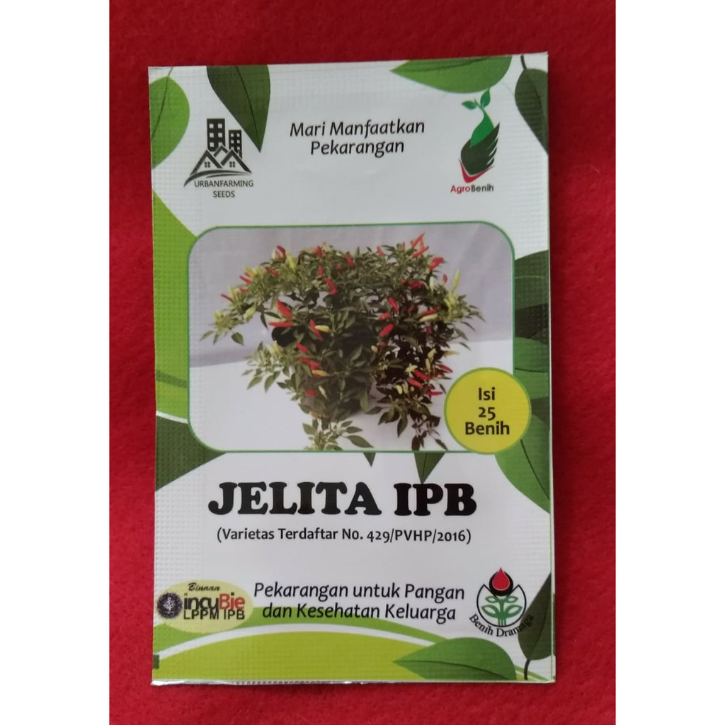 Benih Cabai Hias Jelita IPB
