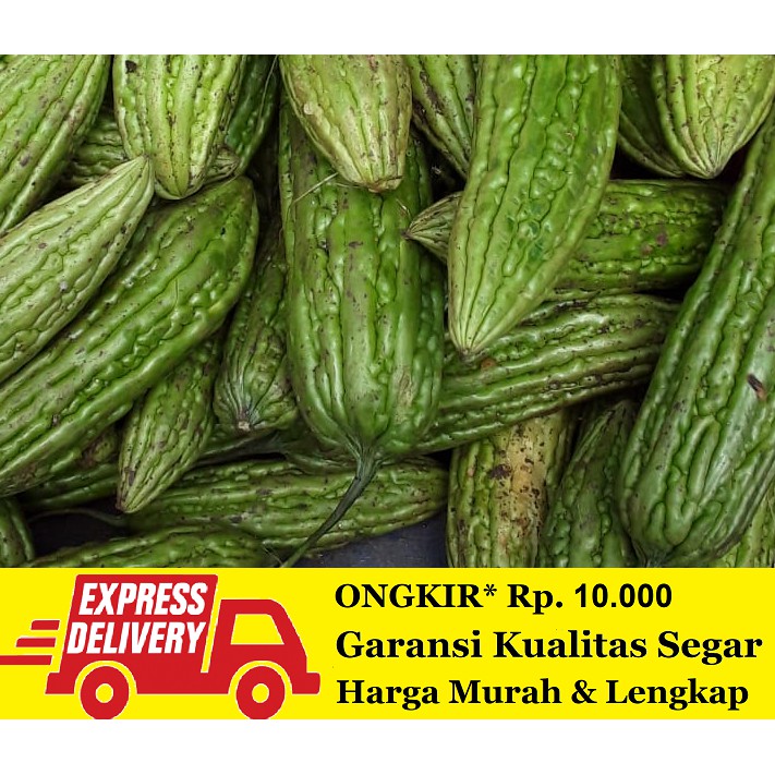 

Sayur Pare Segar 500 gram