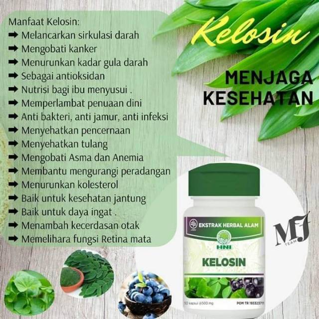 Kelosin Hpai Kapsul Daun Kelor Indonesia